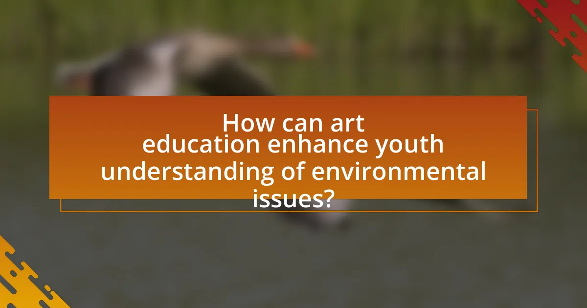 How can art education enhance youth understanding of environmental issues?