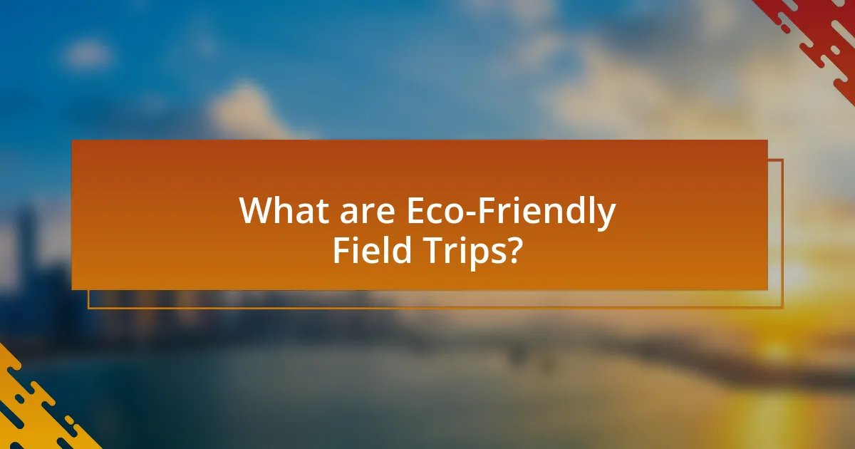 What are Eco-Friendly Field Trips?