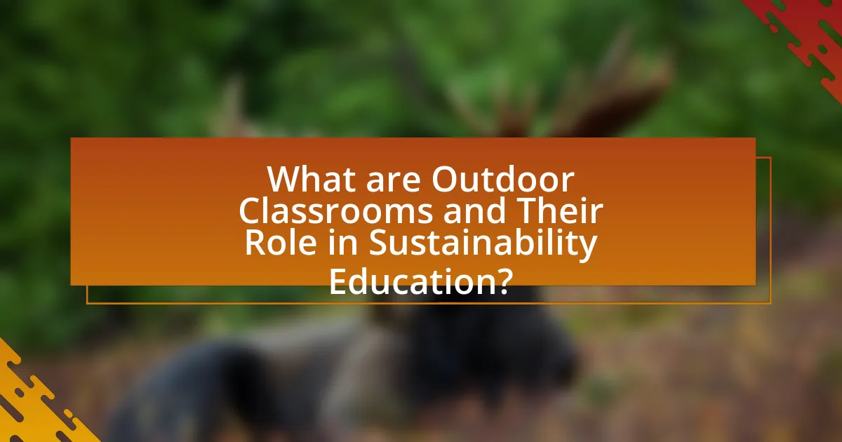 What are Outdoor Classrooms and Their Role in Sustainability Education?