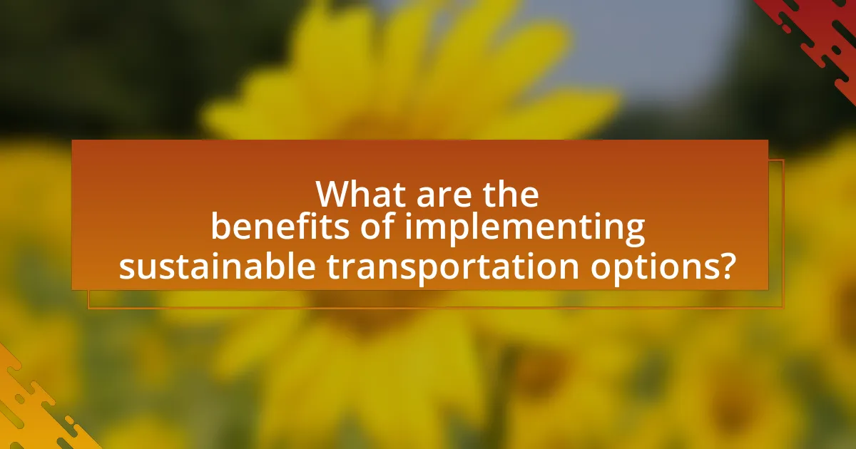 What are the benefits of implementing sustainable transportation options?