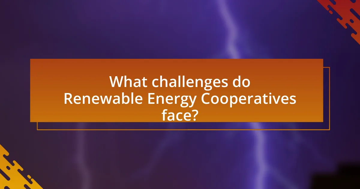 What challenges do Renewable Energy Cooperatives face?
