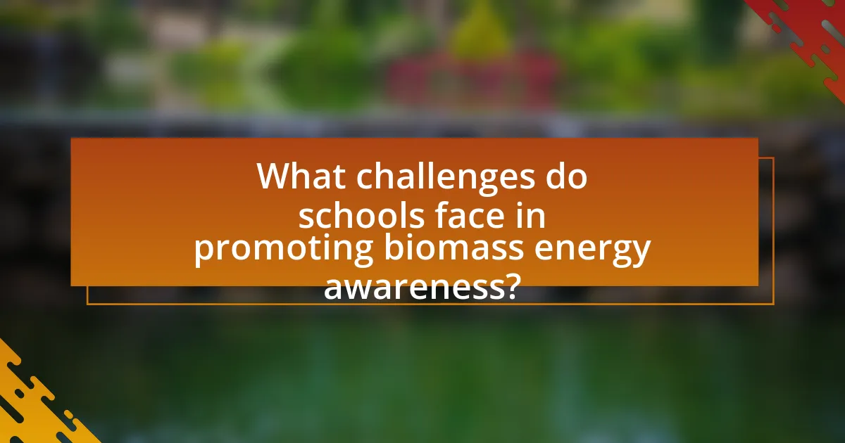 What challenges do schools face in promoting biomass energy awareness?