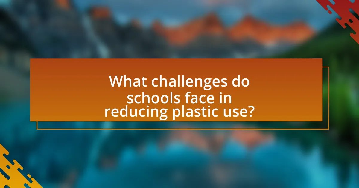 What challenges do schools face in reducing plastic use?