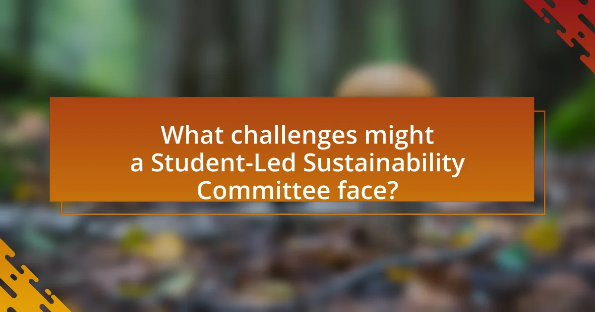 What challenges might a Student-Led Sustainability Committee face?