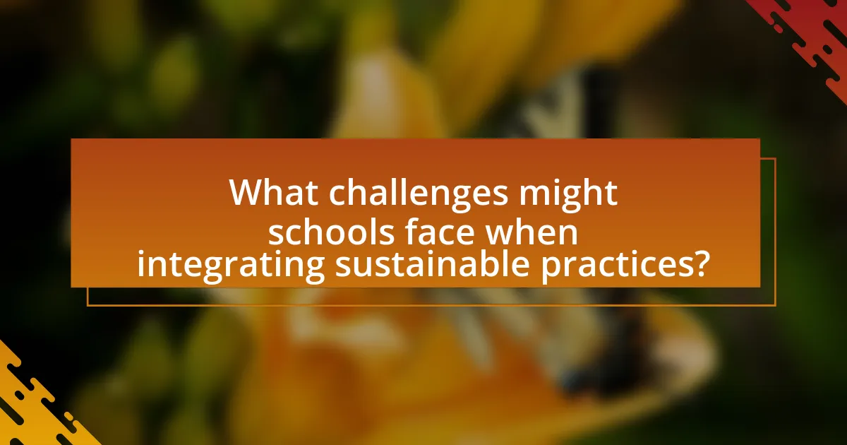 What challenges might schools face when integrating sustainable practices?