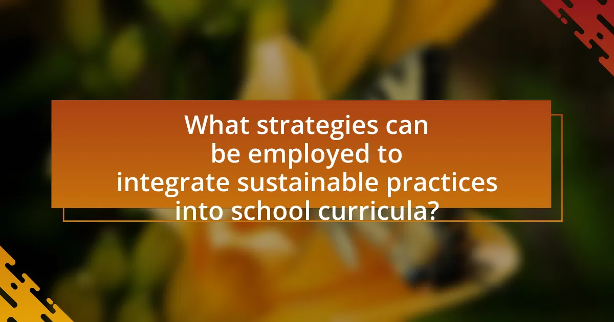 What strategies can be employed to integrate sustainable practices into school curricula?