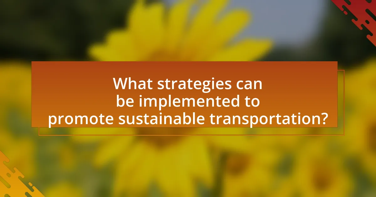 What strategies can be implemented to promote sustainable transportation?